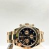 Daytona 116505