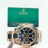 Daytona 116505