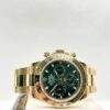 Daytona 116508 “John Mayer”